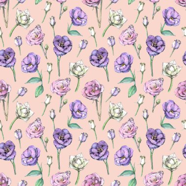 Pembe arka plan üzerinde eustoma çiçekleri ile dikişsiz desen. Suluboya boyalı el.