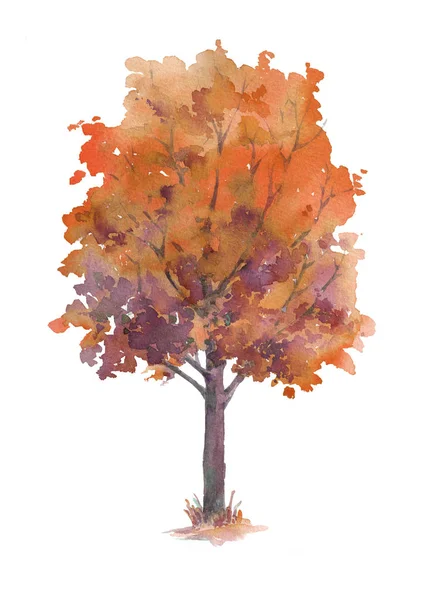 Árvore Outono Com Folhas Vermelhas Isoladas Fundo Branco Mão Pintada — Fotografia de Stock