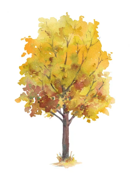 Autumn Tree Yellow Orange Leaves Isolated White Background Hand Painted — Stock Photo, Image