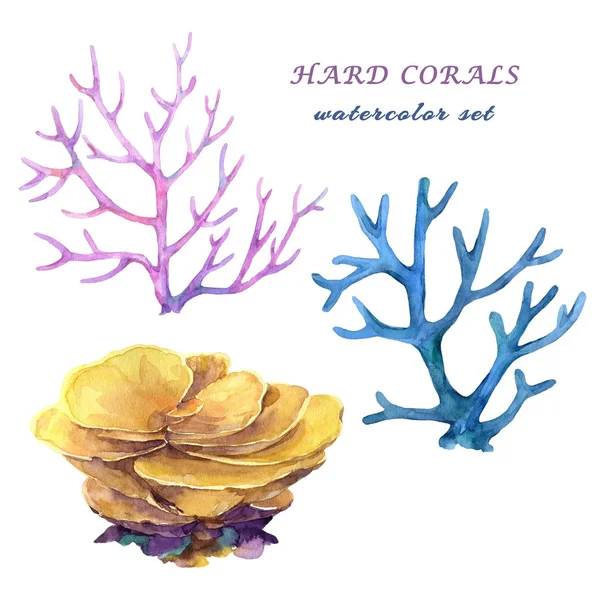 Watercolor Set Hard Corals Hand Drawn Illustration Isolated White Background — Stock Photo, Image