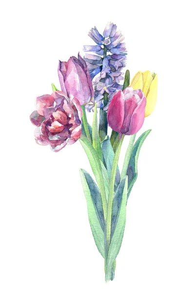 春の花の美しい花束 チューリップとヒヤシンス 水彩画描き下ろしイラスト — ストック写真
