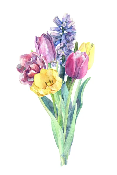 春の花の美しい花束 チューリップとヒヤシンス 水彩画描き下ろしイラスト — ストック写真