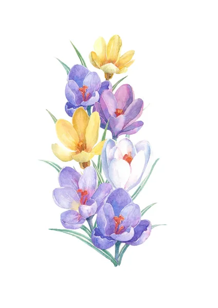 白い背景にカラフルな春の花の花束 紫のクロッカスを使用した水彩画 グリーティングカード 結婚式の招待状 誕生日 母の日として使用することができます — ストック写真