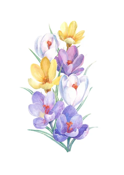 白い背景にカラフルな春の花の花束 紫のクロッカスを使用した水彩画 グリーティングカード 結婚式の招待状 誕生日 母の日として使用することができます — ストック写真