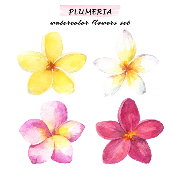 プルメリア熱帯の花の水彩画セット ピンクと赤 白い背景に隔離された手描きのイラスト — ストック写真