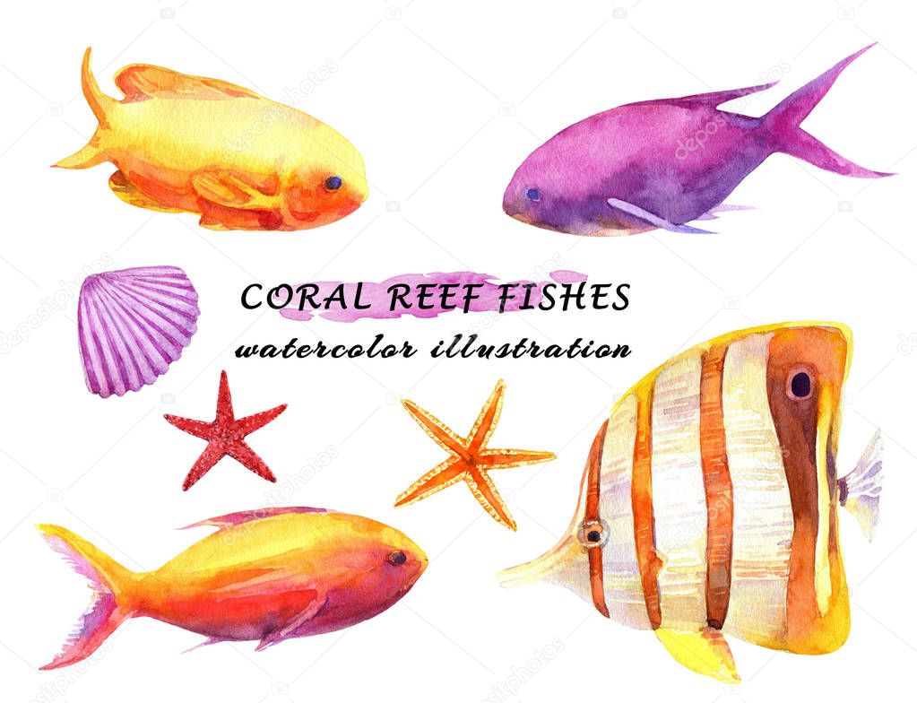 Watercolor set of colorful reef fishes, starfish and mollusc. Hand drawn illustration isolated on white background.