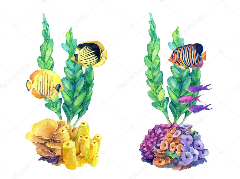 Underwater set of different compositions with coral reefs and tropical fish. Hand painted in watercolor.