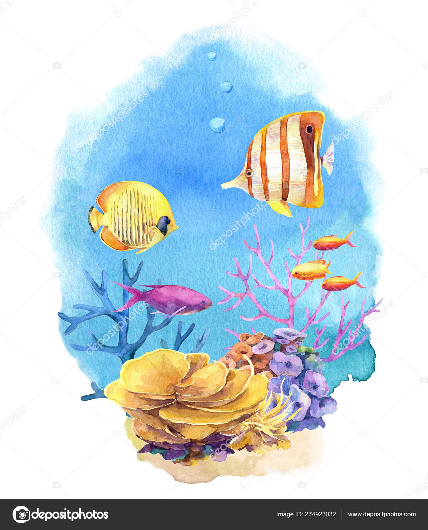 Underwater Composition Coral Reefs Tropical Fish Hand Painted Watercolor Stock Photo Image By C Friesart 274923032