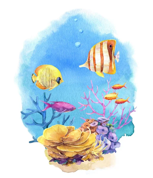 Underwater composition with coral reefs and tropical fish. Hand painted in watercolor.