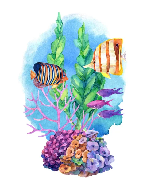 Composición Submarina Con Arrecifes Coral Peces Tropicales Pintado Mano Acuarela — Foto de Stock