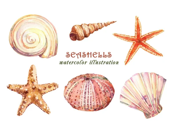 Conjunto Aquarela Objetos Vida Subaquáticos Várias Conchas Tropicais Estrelas Mar — Fotografia de Stock