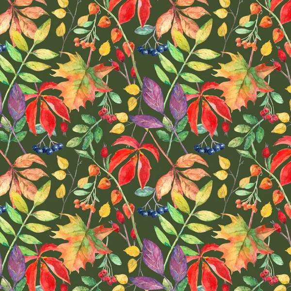 Sonbahar elementleriyle suluboya kusursuz desen.