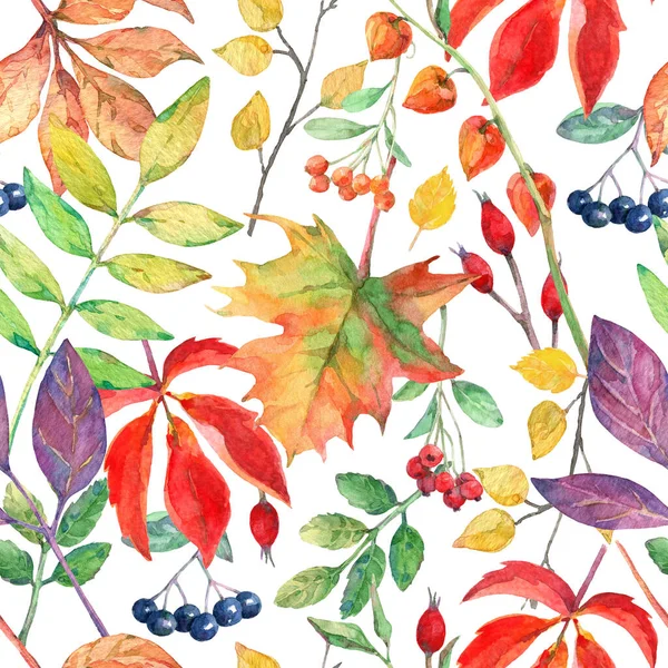 Sonbahar elementleriyle suluboya kusursuz desen.