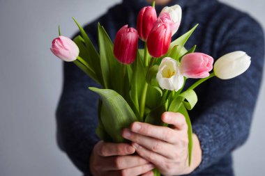 Lale erkek holding grup. Renkli lale adamın elinde. Stüdyo ışık. Yumuşak odak. Bahar çiçek, pembe, beyaz ve lale elinde. Paskalya, Doğum günü, Anne, kadın, düğün günü kavramı.