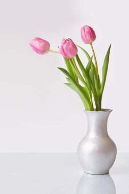 Bahar çiçekleri. Bir vazo içinde Pembe lale buketi. Metin için yer. Beyaz arka plan.