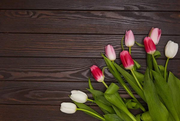 Lale kahverengi ahşap arka plan üzerinde. Celebrstion ve tebrik kavramı. Metin için yer