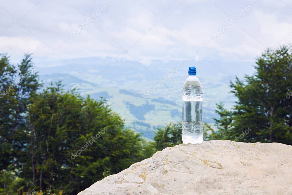 A bottle of pure drinking water in plastic bottle on the mountain against mountain landscape