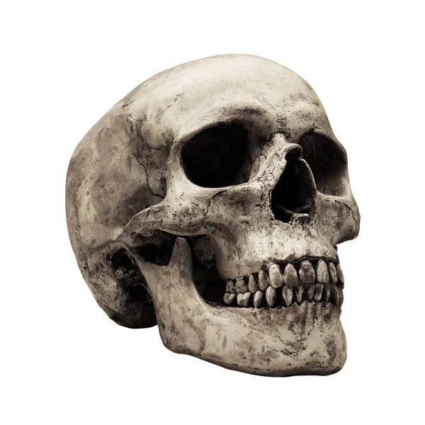 Old Human Skull Isolated White Background — Stock Photo, Image