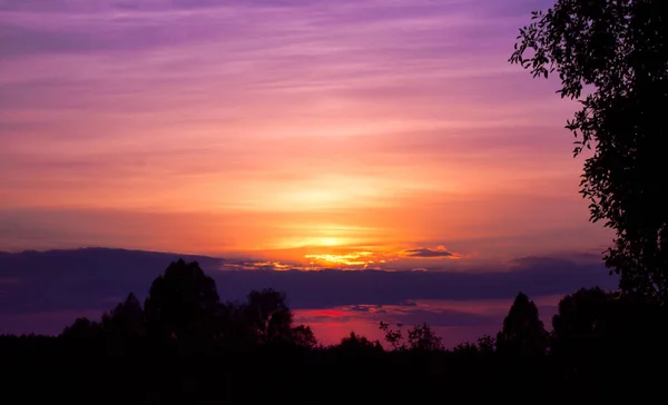 一个五颜六色的日落与黑色剪影树在前景 — 图库照片