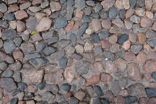 Old Cobblestone Pavement Historic Center Tallinn — Stock Photo, Image