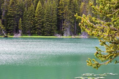 Güzel yeşil Perisi Gölü Yellowstone Milli Parkı