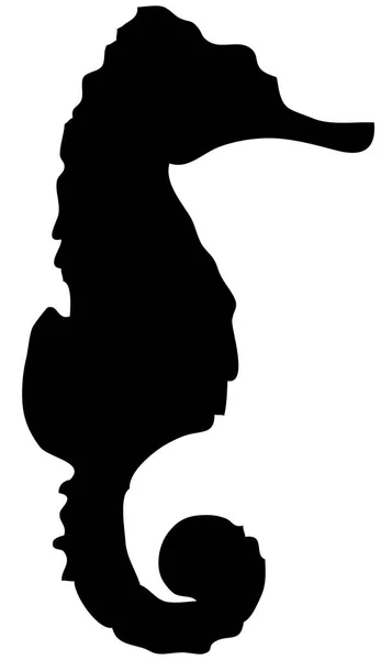 Vektor Illustration Sjöhäst — Stock vektor
