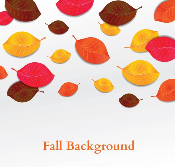 Vector Illustration Fall Leaves Background Autumn Background — Stock Vector