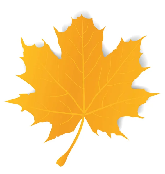 Vektoros Illusztráció Maple Leaf Elszigetelt Fehér Background — Stock Vector