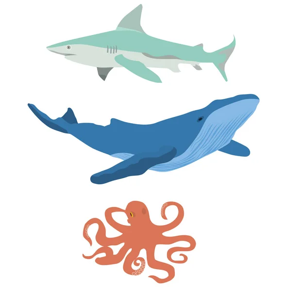 Deniz Yaratıkları Hayvanlar Vektör Illustration Köpekbalığı Balina Ahtapot — Stok Vektör