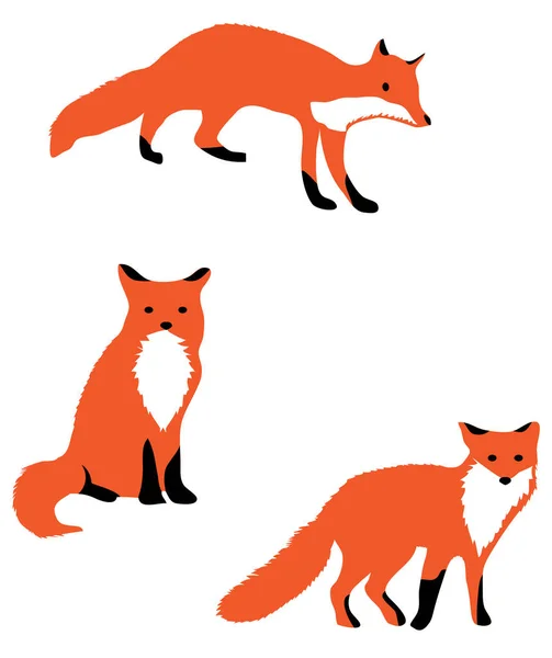Vector Illustration Fox Animal World Wild Animals Nature Background — Stock Vector
