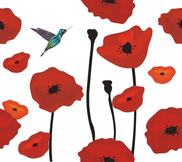 Illustration Vectorielle Coquelicots Rouges Fond Sans Couture Colibri — Image vectorielle