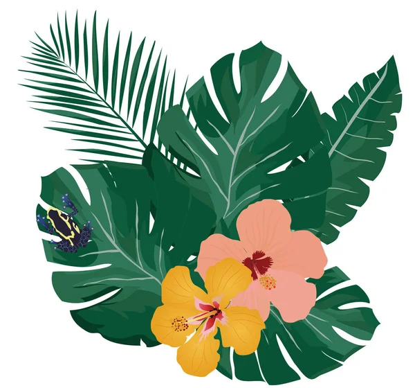 Ilustração Vetorial Folhas Palma Tropicais Flores Fundo Sapo Dardo Venenoso — Vetor de Stock