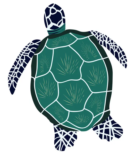 Beyaz Arka Plan Üzerinde Izole Bir Deniz Kaplumbağası Vektör Çizim — Stok Vektör