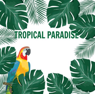 tropik cennet papağan ile palmiye yaprakları çerçeve ile vektör çizim.