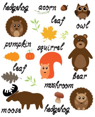 Orman hayvan doğa arka kelimelerle vektör çizim. 