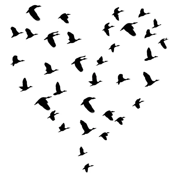 Vektorillustration Fliegender Vögel Natur Tierwelt Hintergrund Abstraktes Herz — Stockvektor
