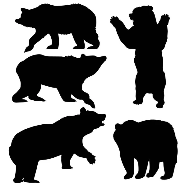 Wektor zestaw niedźwiedź — Wektor stockowy