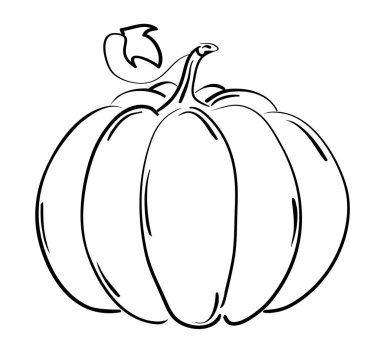 Beyaz arkaplanda izole edilmiş bir balkabağının vektör çizimi.