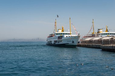 İstanbul 'da tekne, hindi