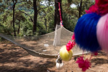 Ormandaki Hamak Pamuğu