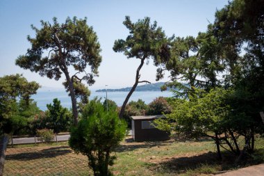 İstanbul 'da Türkiye' de orman 