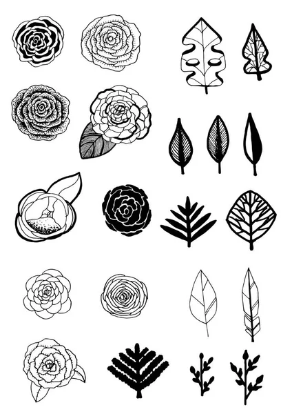 Vektorillustration Von Blumen Und Blättern Vektorillustration Blumen Und Blätter — Stockvektor