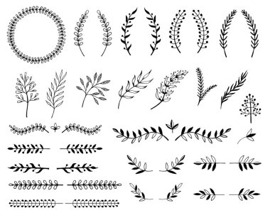 Dalları ve yaprakları elle çizilmiş çizimi. Tasarım öğeleri 