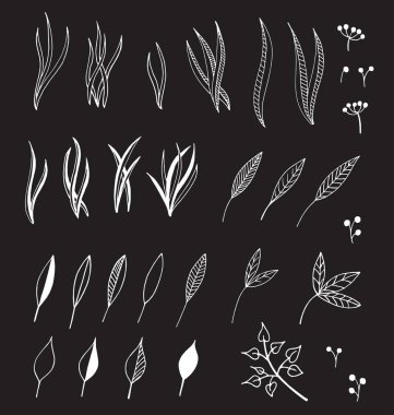 Dalları ve yaprakları elle çizilmiş çizimi. Tasarım öğeleri 