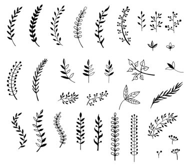 Dalları ve yaprakları elle çizilmiş çizimi. Tasarım öğeleri 