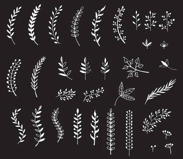 Dalları Yaprakları Elle Çizilmiş Çizimi Tasarım Öğeleri — Stok Vektör