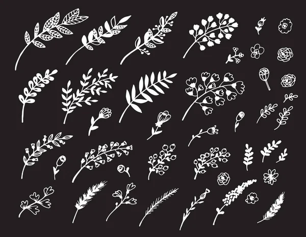 手画的说明分枝 叶子和花 设计元素 — 图库矢量图片