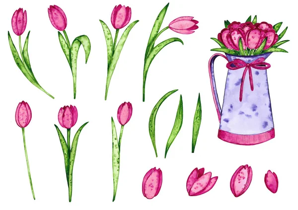 郁金香的水彩插图 花边框和框架 手绘的例证 — 图库照片