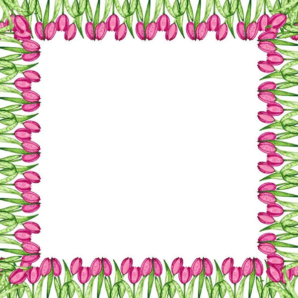 Lale suluboya çizimi. Çiçek sınır ve çerçeve. Elle çizilmiş illüstrasyon