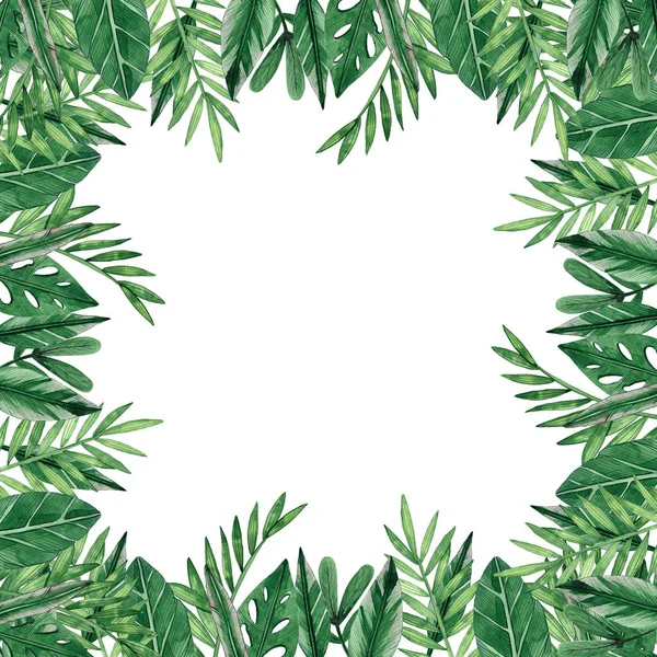 Suluboya botanik illüstrasyon. Sınır. Yeşil yaprakları. Elle çizilmiş illüstrasyon